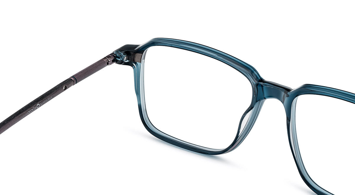 etnia-barcelona-seligman-lunettes-de-vue-pt-calibre-53 image 6