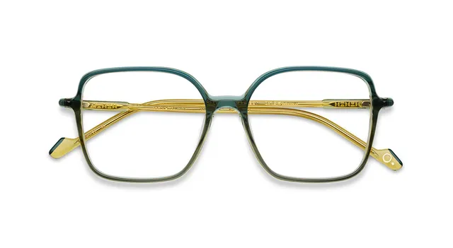 etnia-barcelona-ultra-light-18-lunettes-de-vue-gr-yw-calibre-51 image 1