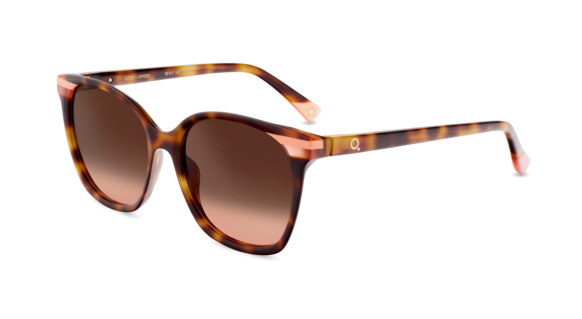 etnia-barcelona-liceu-lunettes-de-soleil-polaris-es-bk-br-calibre-55 image 7
