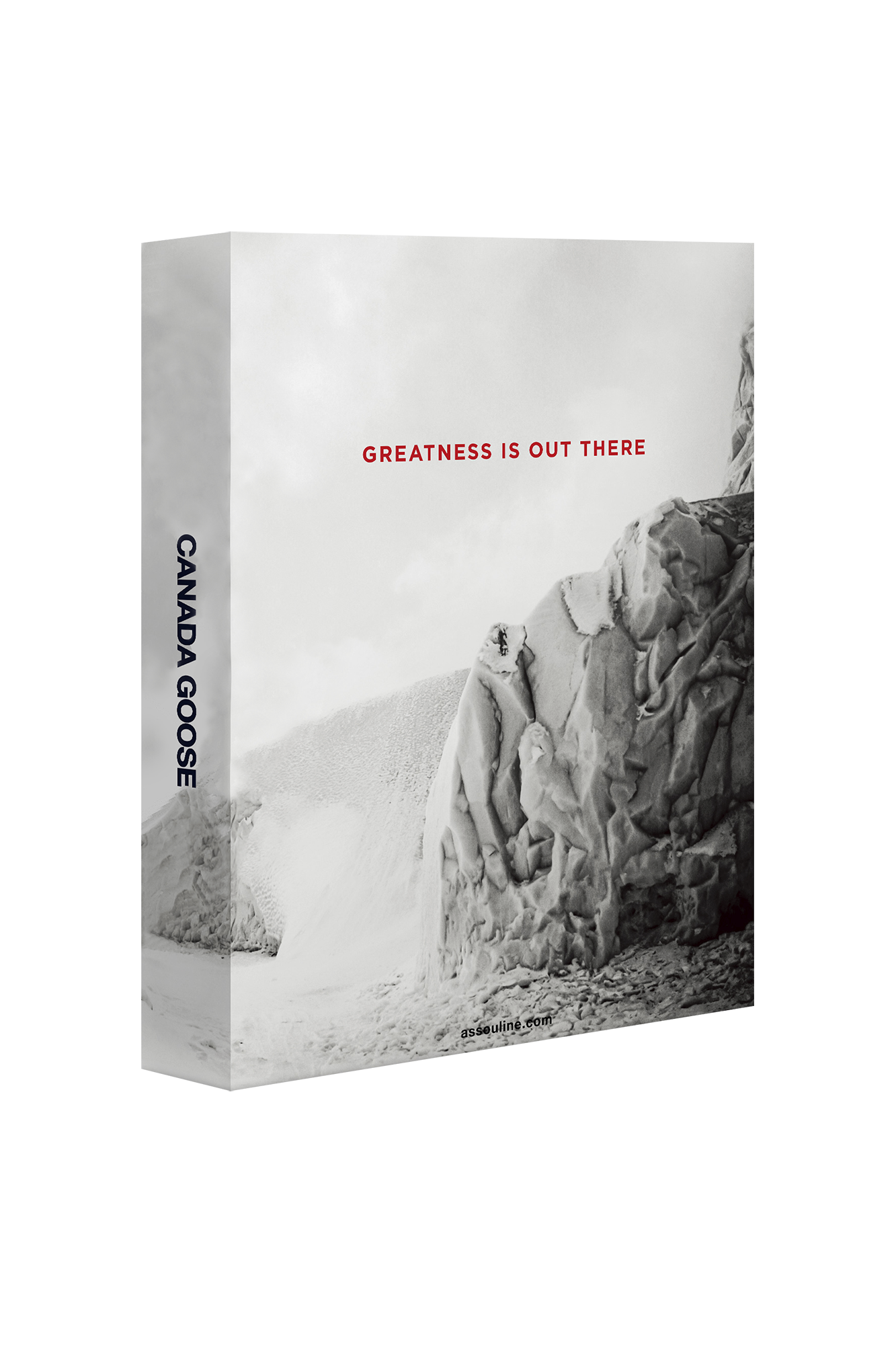 canada-goose-greatness-is-out-there-beau-livre-histoire image 3