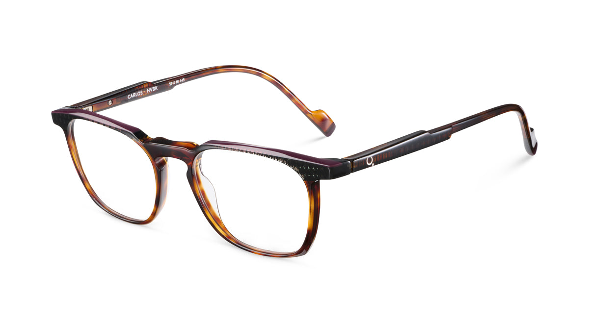 etnia-barcelona-carlos-lunettes-de-vue-tq-br-calibre-51-m image 5