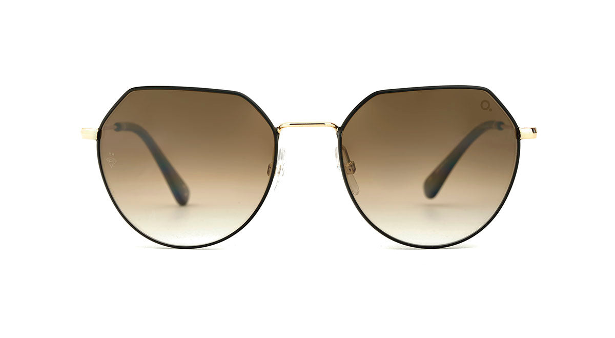etnia-barcelona-rhode-island-sun-lunettes-de-soleil-bk-gd-53 image 1