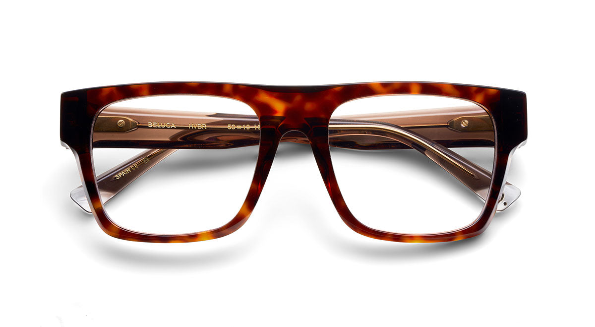 etnia-barcelona-optical-beluga-lunettes-de-vue-bl-calibre-53 image 2