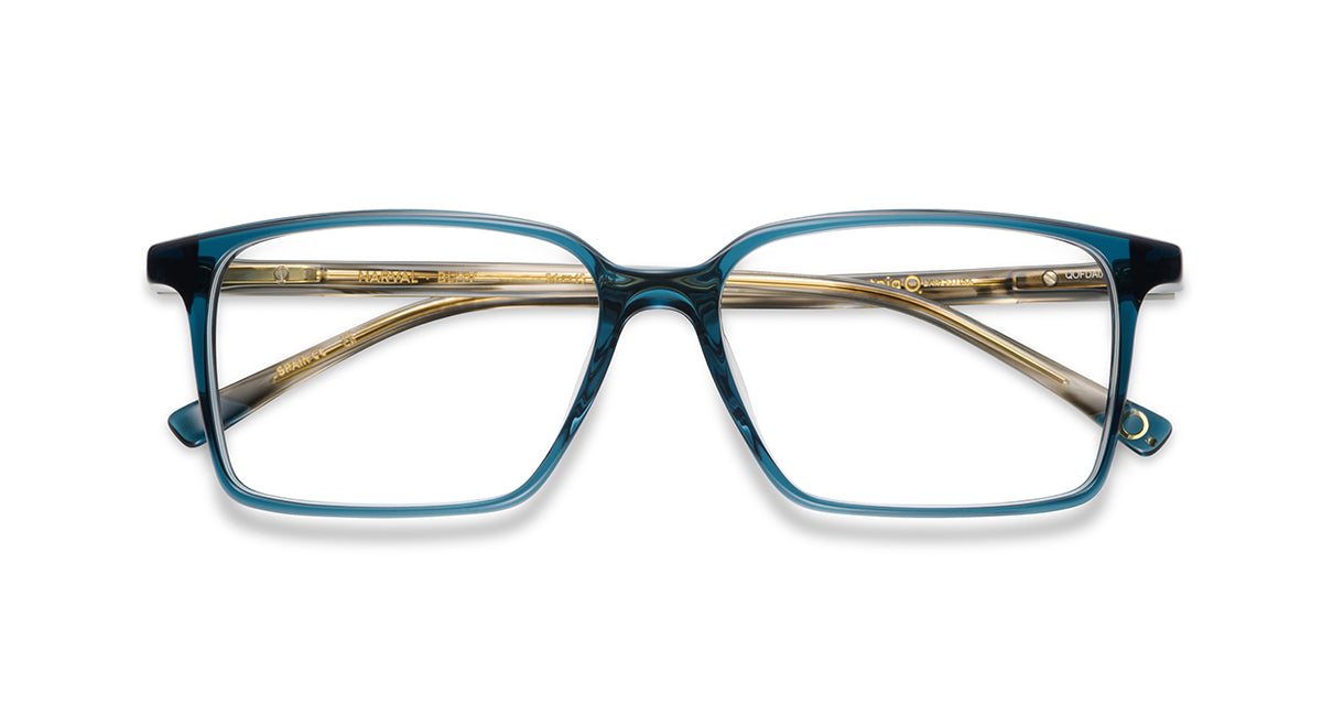 etnia-barcelona-narval-lunettes-de-vue-hv-calibre-56 image 4
