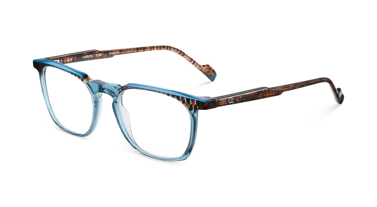 etnia-barcelona-carlos-lunettes-de-vue-tq-br-calibre-51-m image 7