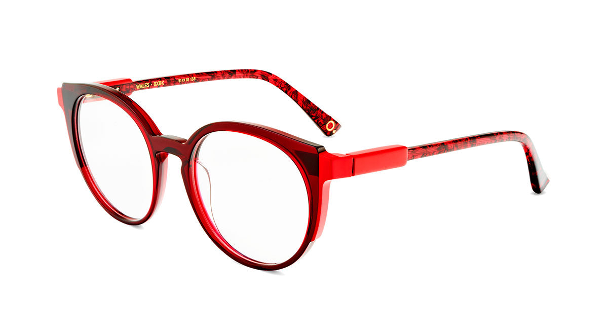 etnia-barcelona-wales-lunettes-de-vue-bl-pu-51 image 5