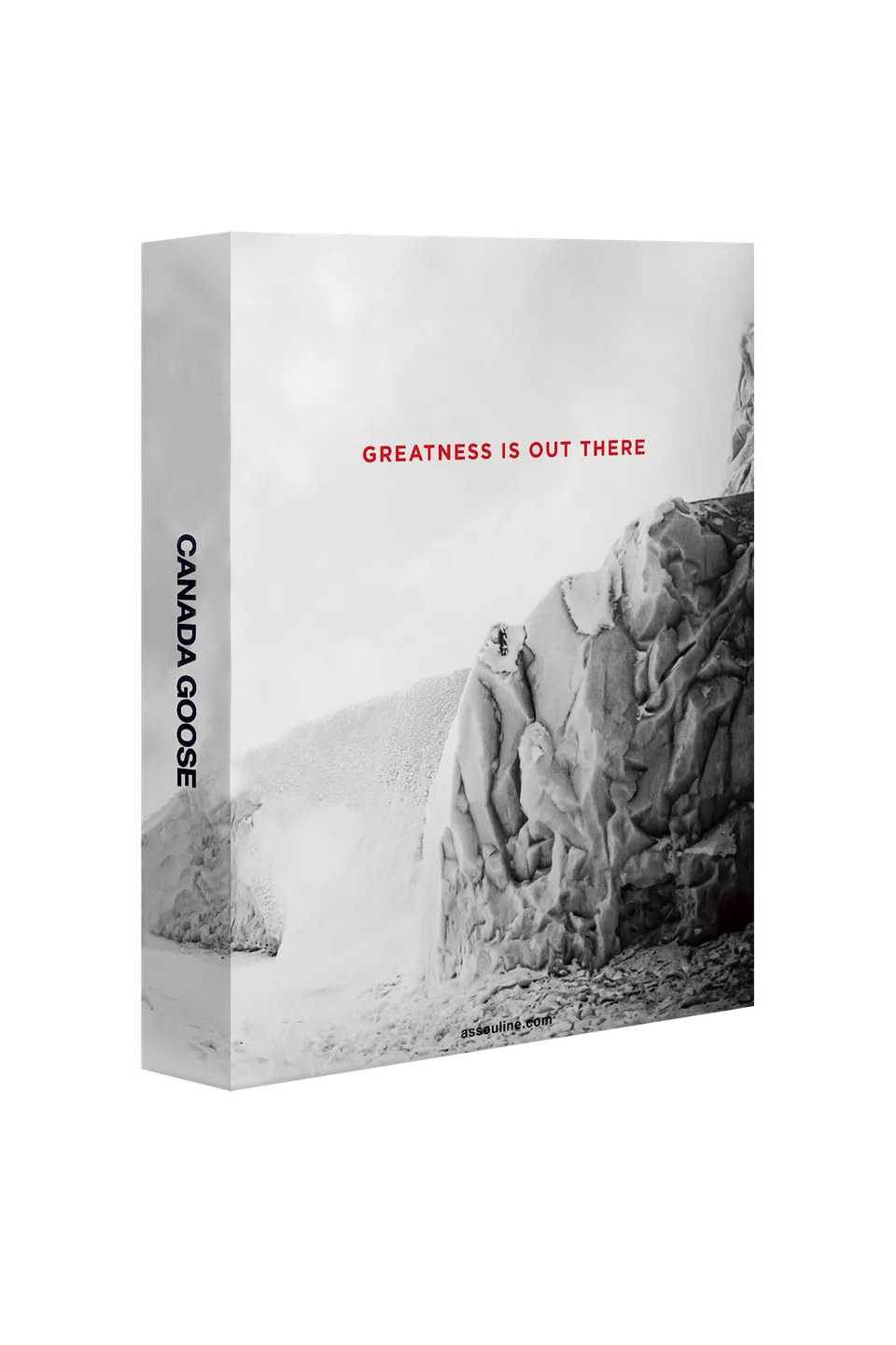 canada-goose-greatness-is-out-there-beau-livre-histoire image 1