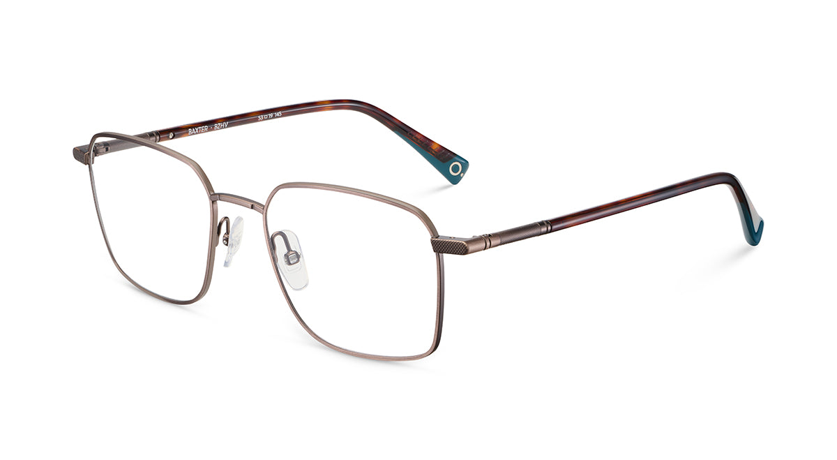 etnia-barcelona-baxter-lunettes-de-vue-pt-gr-calibre-53 image 5