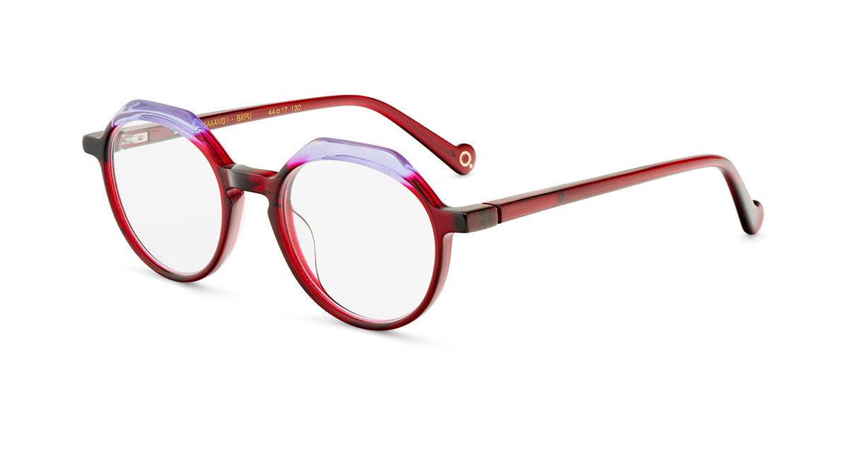 etnia-barcelona-optical-baaaang-lunettes-de-vue-bx-pu-calibre-44 image 4