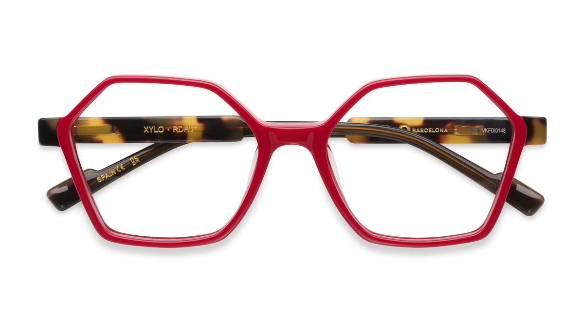 etnia-barcelona-xylo-lunettes-de-vue-tq-gy-calibre-51 image 8