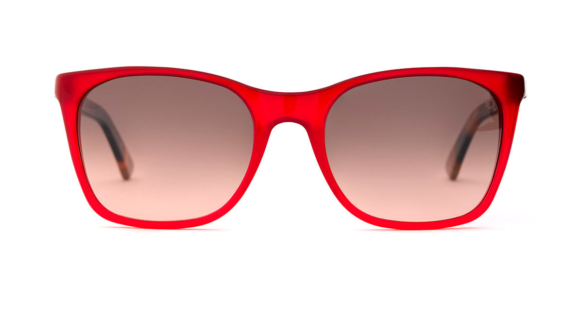etnia-barcelona-montsio-lunettes-de-soleil-hv-be-calibre-54 image 4