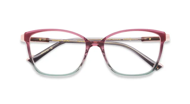 etnia-barcelona-sajonia-lunettes-de-vue-gy-pk-calibre-54 image 1