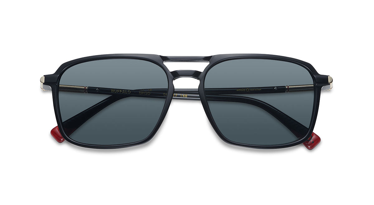 etnia-barcelona-buffalo-lunettes-de-soleil-polaris-es-bk-gd-56 image 1