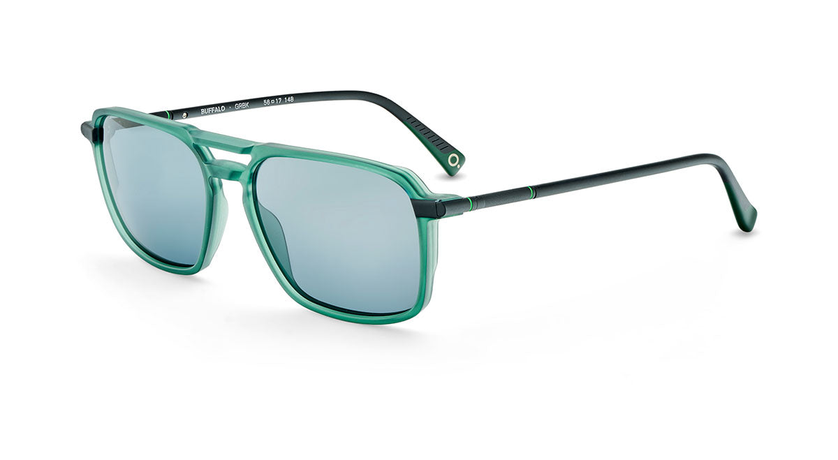 etnia-barcelona-buffalo-lunettes-de-soleil-polaris-es-bk-gd-56 image 5