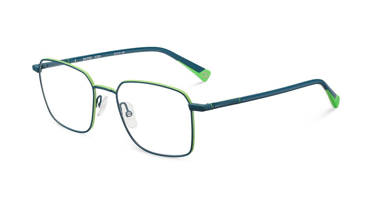 etnia-barcelona-baxter-lunettes-de-vue-pt-gr-calibre-53 image 8