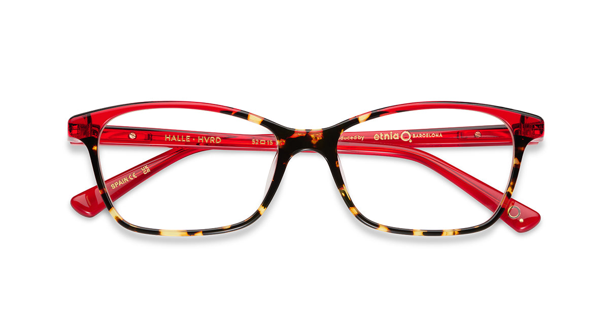 etnia-barcelona-halle-lunettes-de-vue-fu-bl-calibre-52-ac-tate image 4