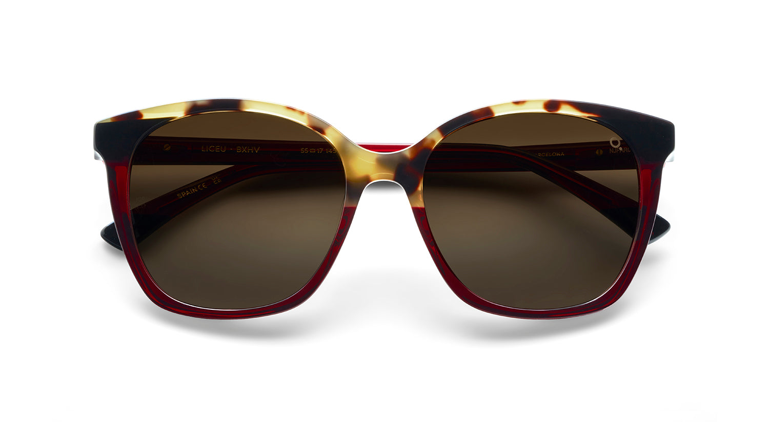etnia-barcelona-liceu-lunettes-de-soleil-polaris-es-bk-br-calibre-55 image 5