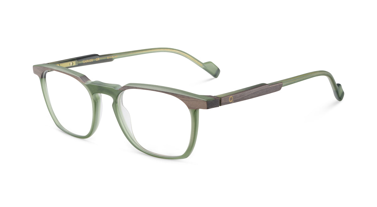 etnia-barcelona-carlos-lunettes-de-vue-tq-br-calibre-51-m image 6