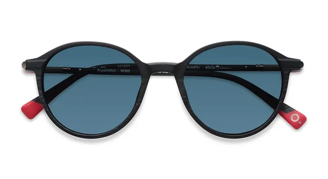 etnia-barcelona-flamingo-lunettes-de-soleil-polarise-bk-rd-51 image 1