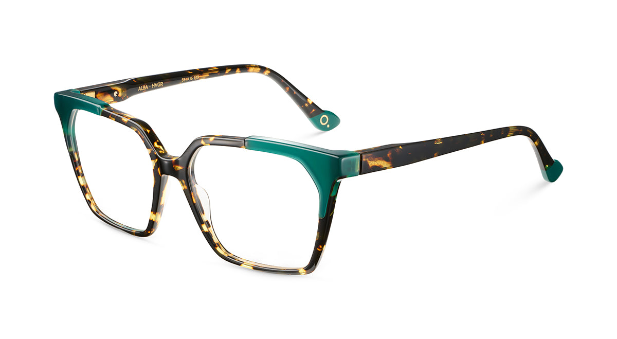 etnia-barcelona-alba-lunettes-de-vue-tq-pu-calibre-55 image 8